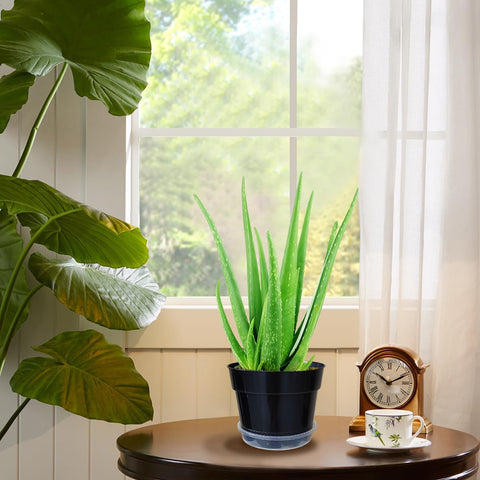 RooTrimmer 8-inch pots are crack-resistant and long-lasting for seasonal reuse