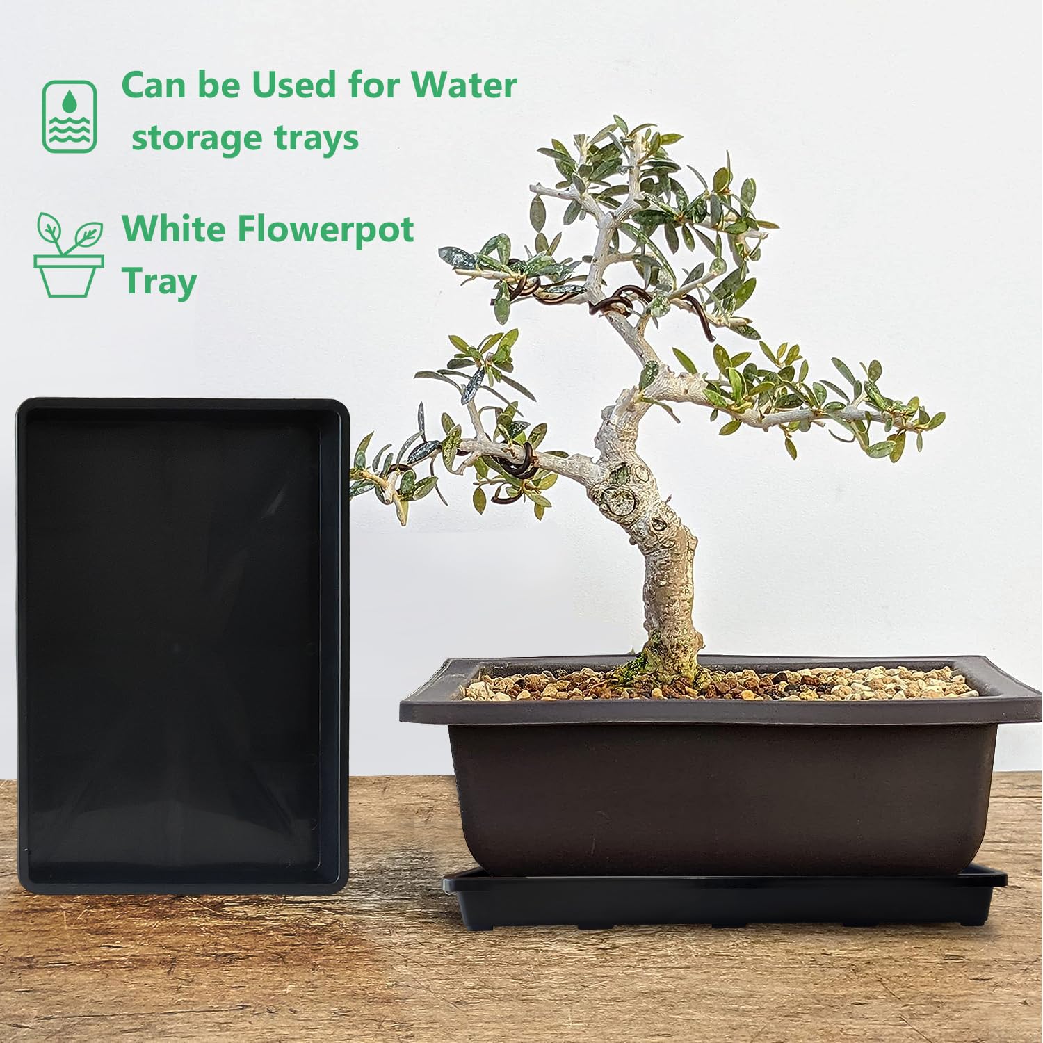 RooTrimmer tray supports microgreens, wheatgrass, bonsai, or cat grass.