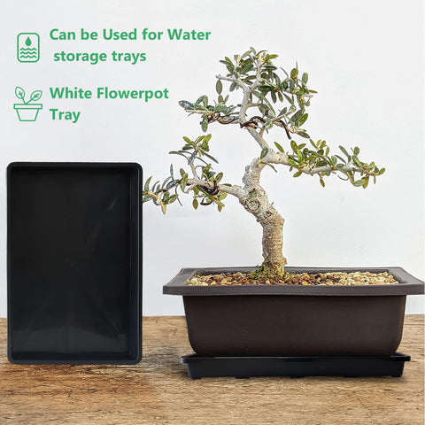 RooTrimmer tray supports microgreens, wheatgrass, bonsai, or cat grass.