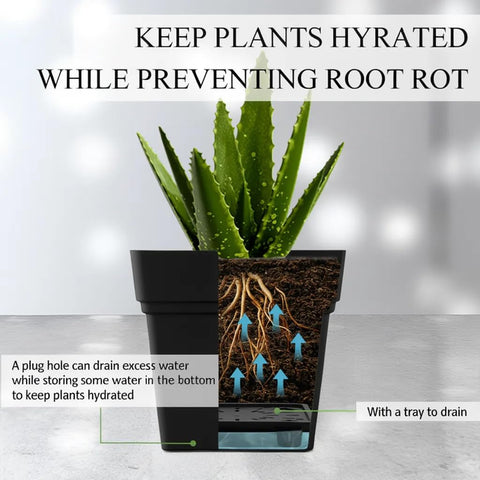 RooTrimmer built-in drainage tray 300ml close-up demonstrates moisture control.