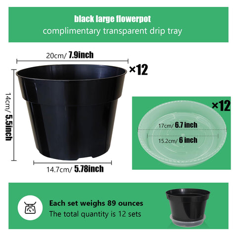 RooTrimmer clear saucer pot highlights water collection to reduce spills