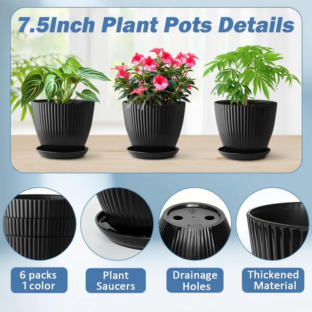 RooTrimmer deep 16 cm interior supports robust root growth.