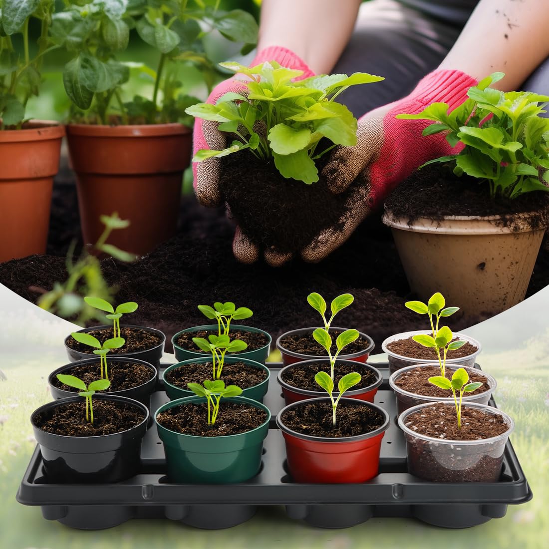 Corner drainage holes on RooTrimmer tray prevent root rot during watering.