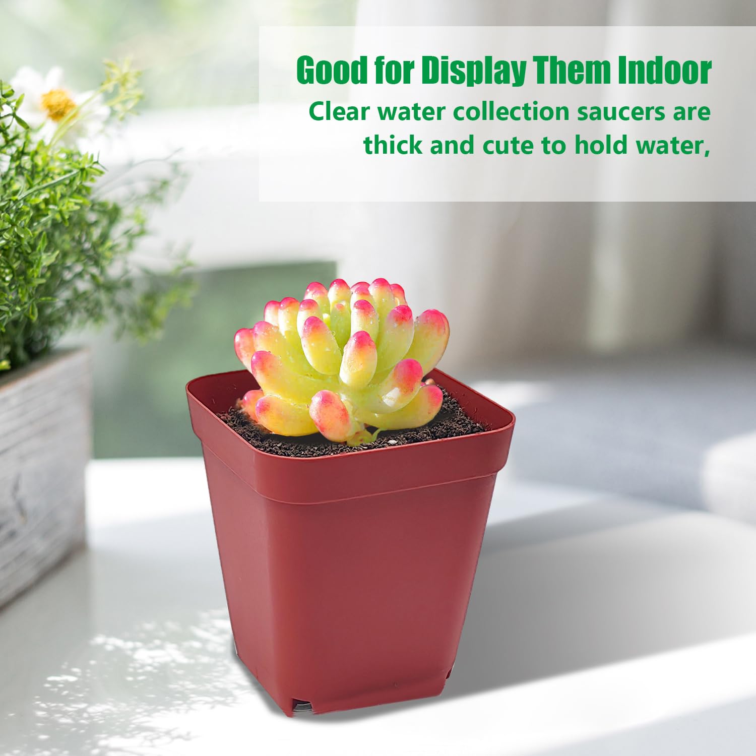 Durable RooTrimmer plastic pot, reusable across seasons.