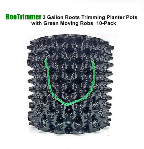 RootTrimmer air pruning promotes root development and healthier root exposure.