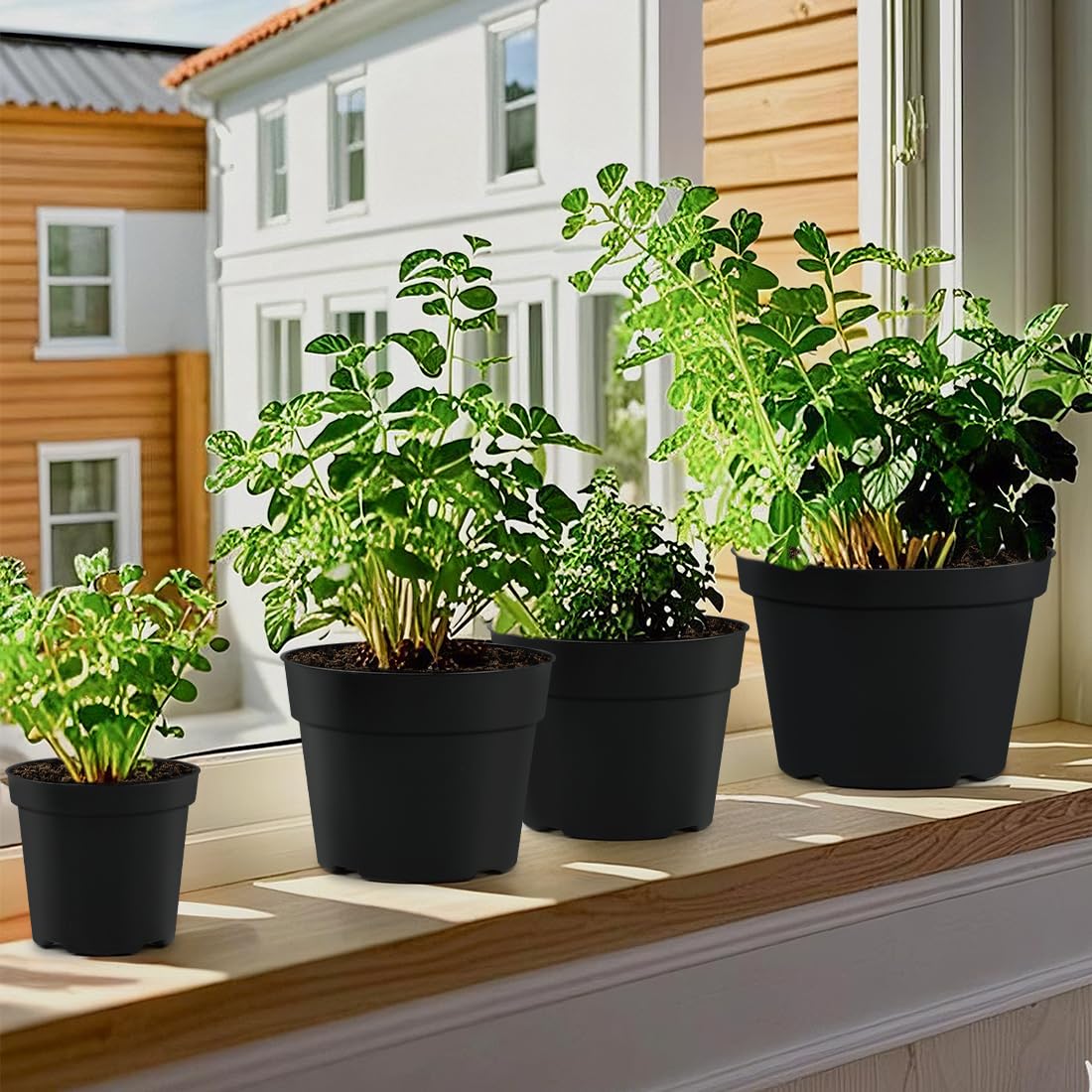RooTrimmer indoor-outdoor use pot ideal for transitions from seedling to maturity.