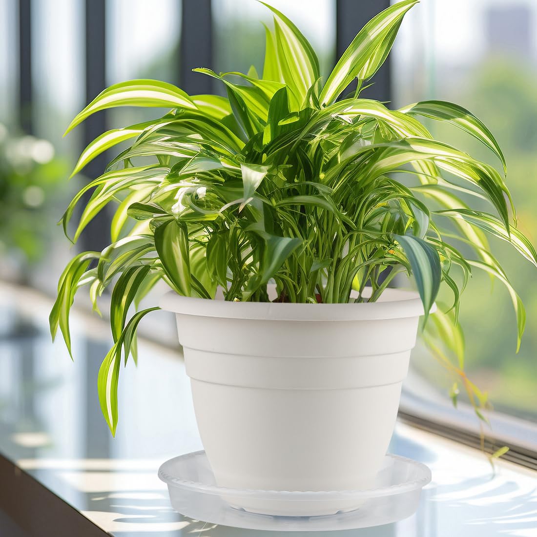 RooTrimmer raised-edge saucer contains leaks and soil spills indoors.
