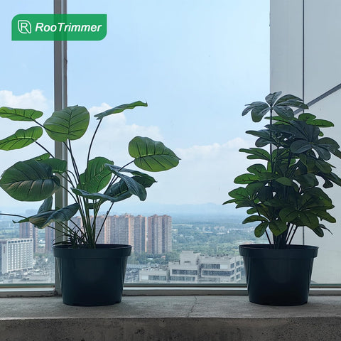 RooTrimmer green planter pot ideal for long-term gardening.