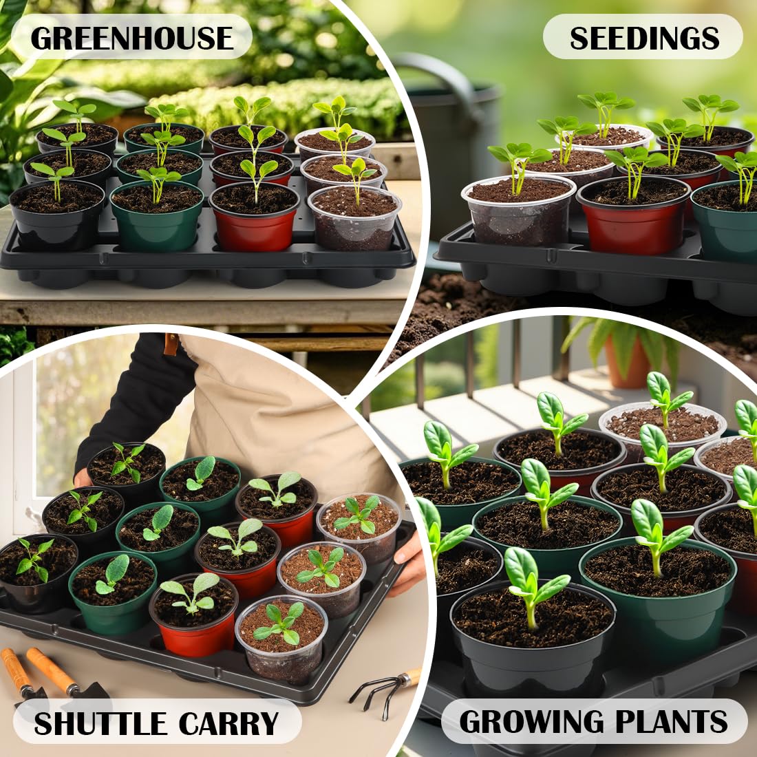 Shuttle-style RooTrimmer tray facilitates moving seedling pots efficiently.