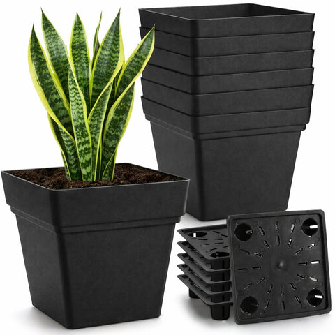 RooTrimmer six-pack 7-inch square planter front view for space-saving balcony displays.
