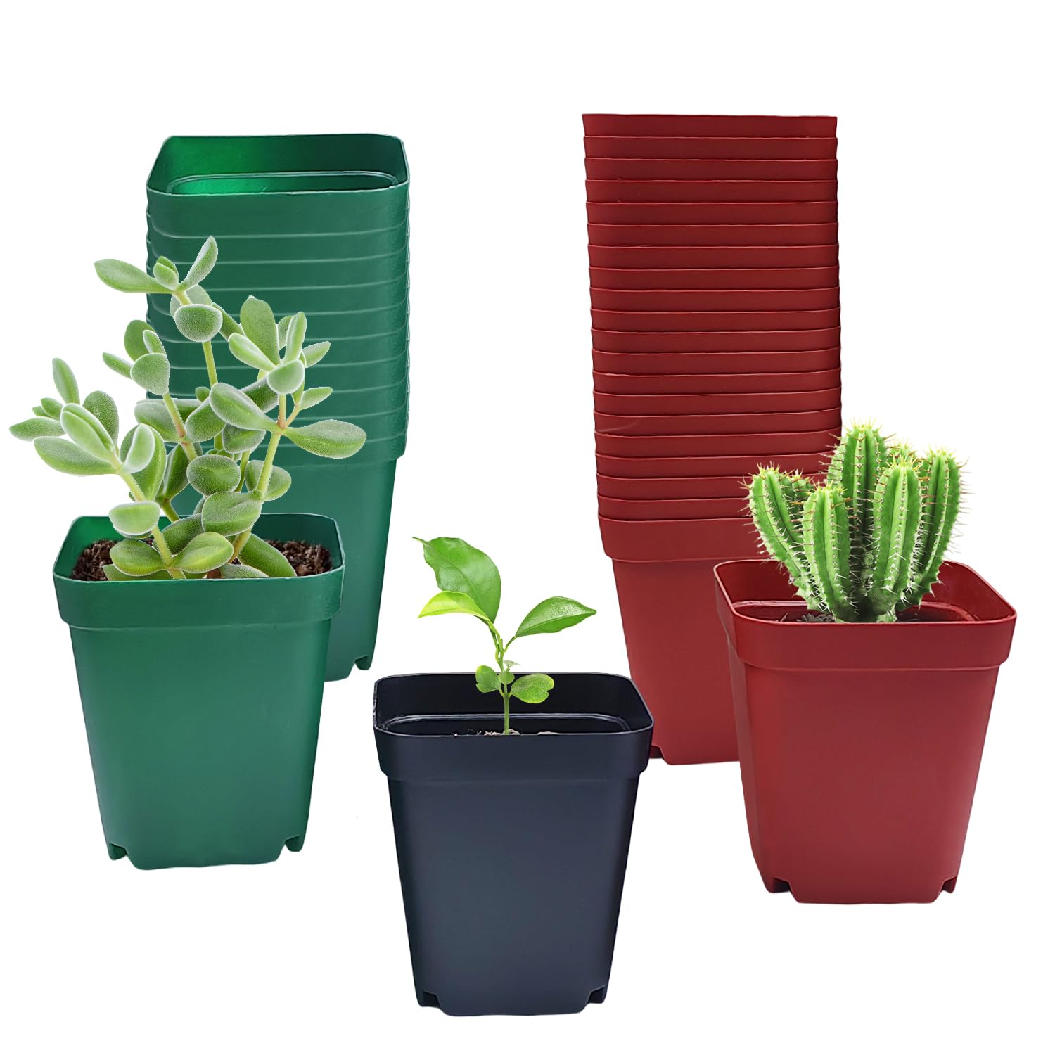 RooTrimmer 2.7-inch green square pot, ideal for seed starting.