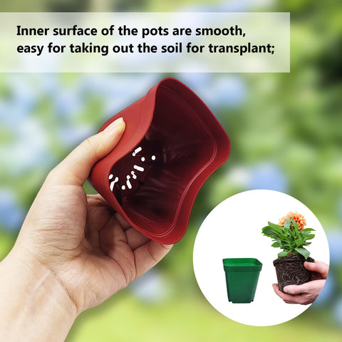 RooTrimmer 2.7-inch red square pot, adds color to small plants.