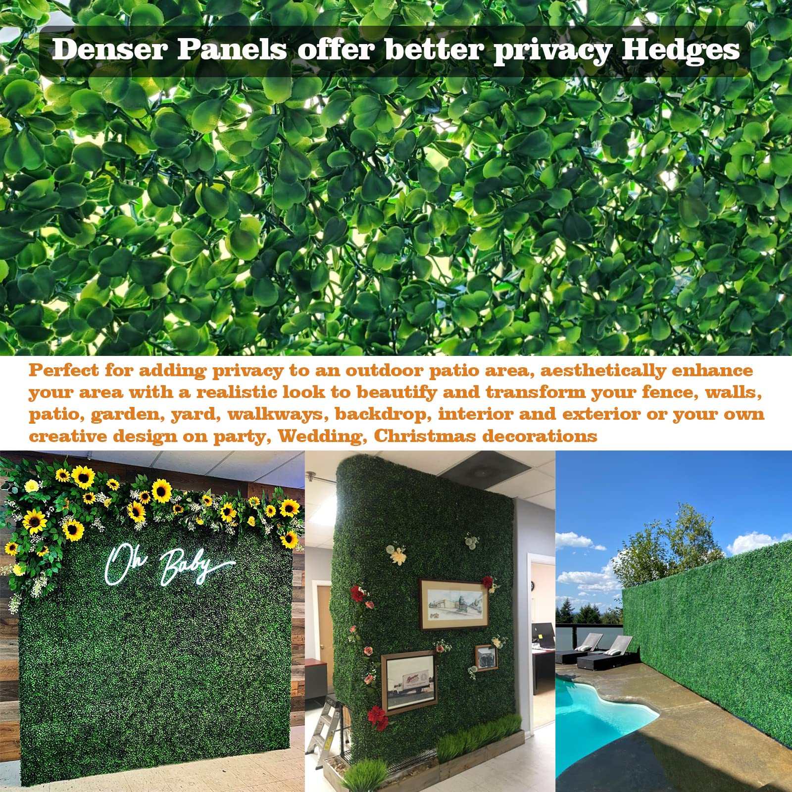 Ropoy Boxwood Panel 20x20 high-density leaves create dense greenery