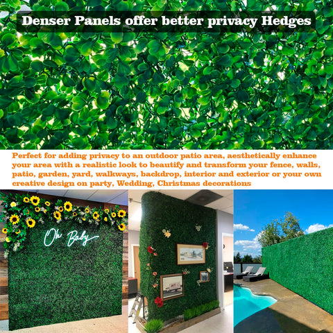Ropoy Boxwood Panel 20x20 high-density leaves create dense greenery