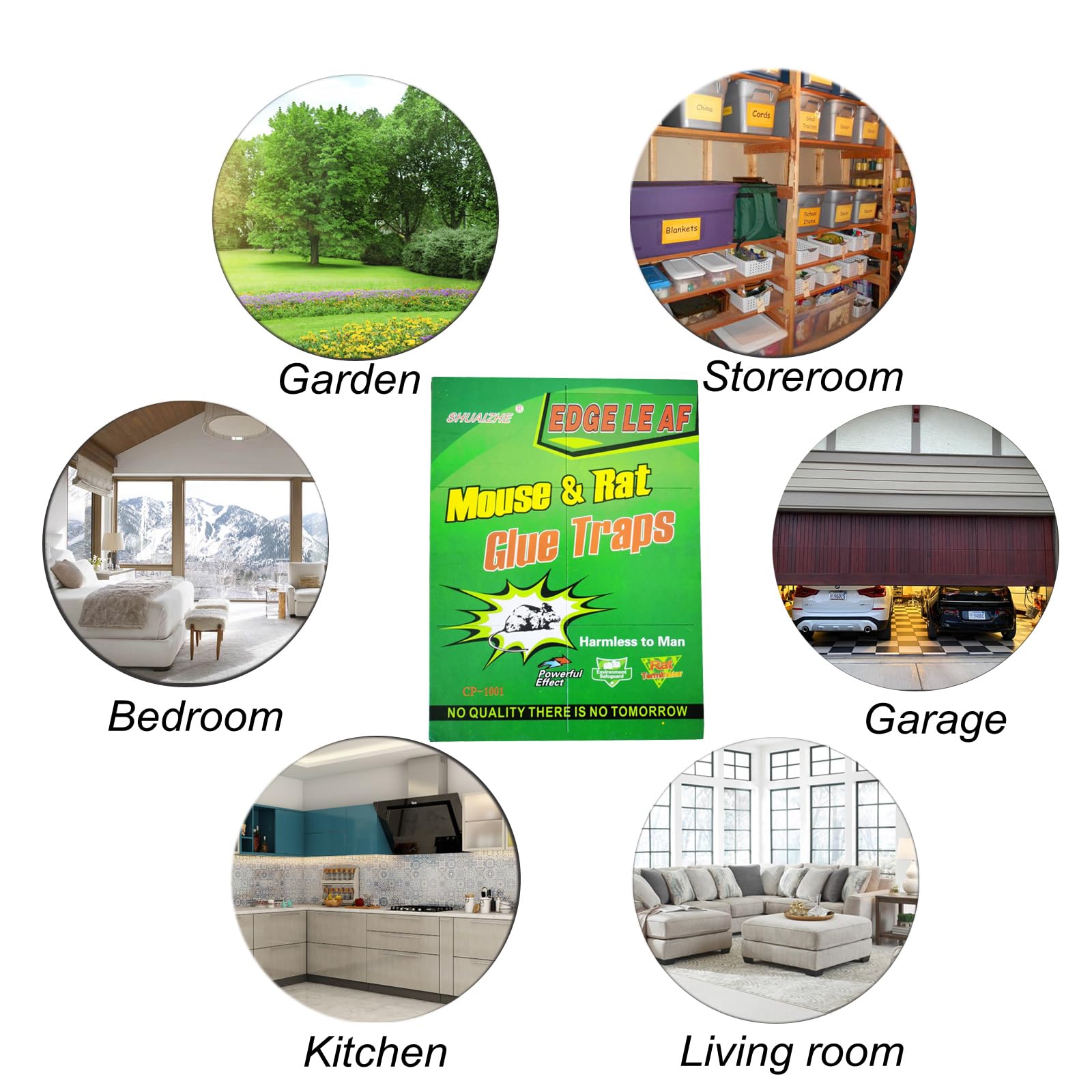 ROPQPEOD 10-pack pest control ready for ongoing home protection