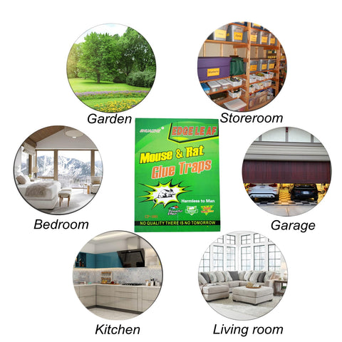 ROPQPEOD 10-pack pest control ready for ongoing home protection