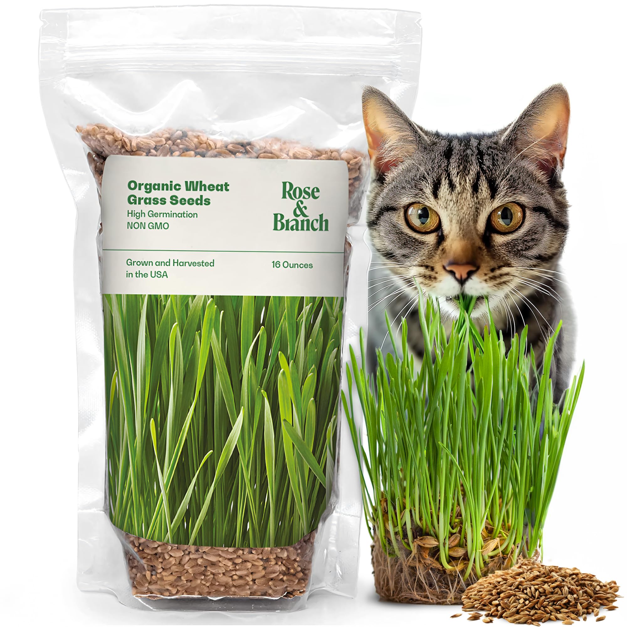Rose and Branch wheat grass seeds packaging shows premium, US-grown seeds for easy indoor cat grass.
