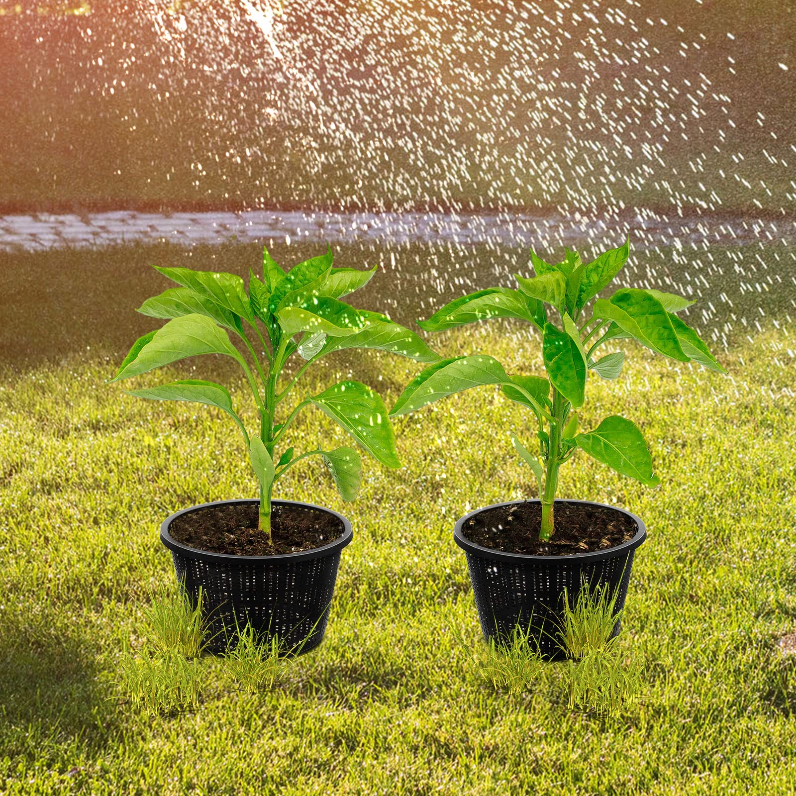 Roshtia aquatic plant pots mesh detail showing water flow and root containment