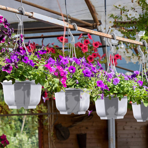 Roshtia detachable hooks enable flexible hanging or wall placement