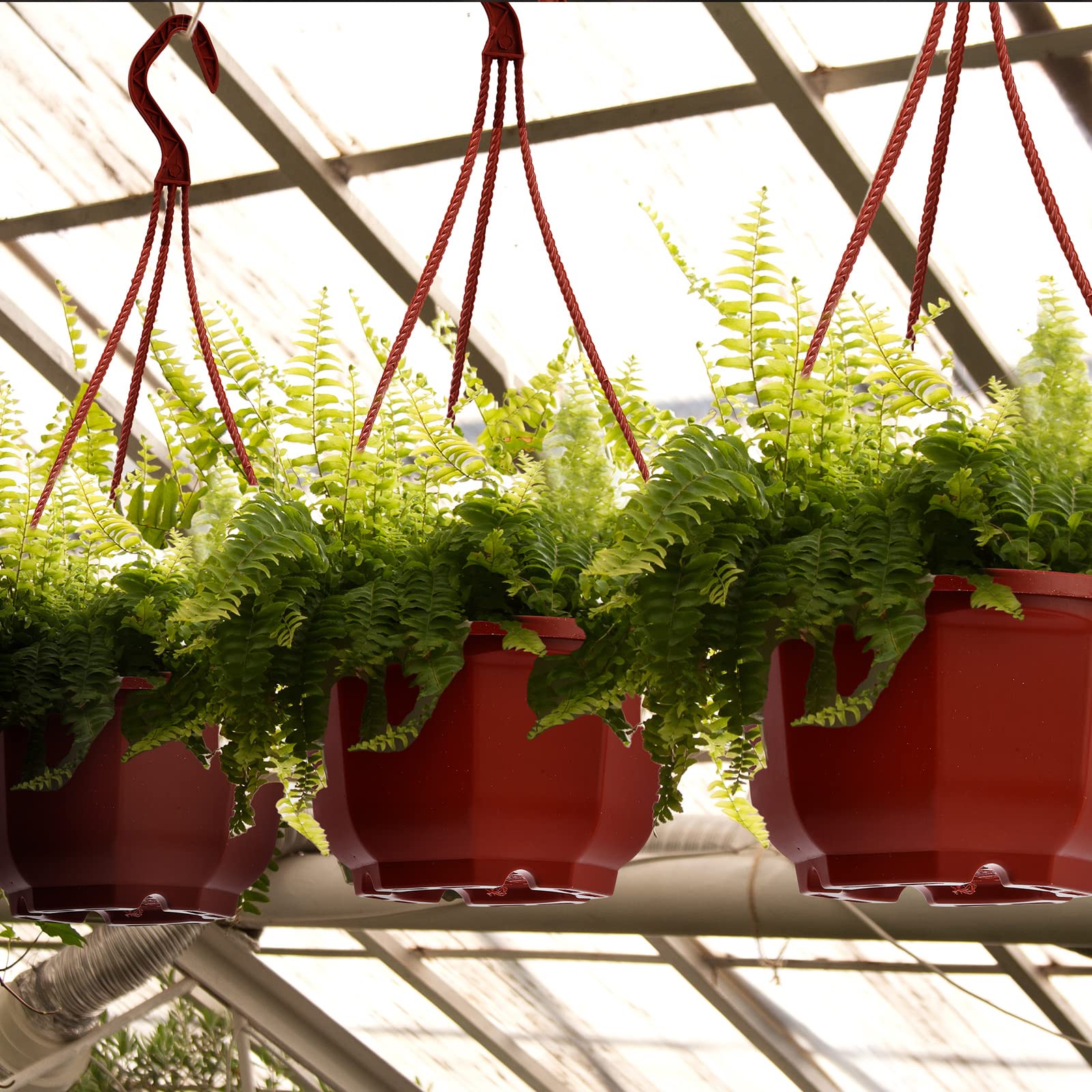 Roshtia detachable hooks ensure stable hanging indoors or outdoors