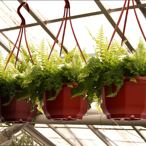 Roshtia detachable hooks ensure stable hanging indoors or outdoors