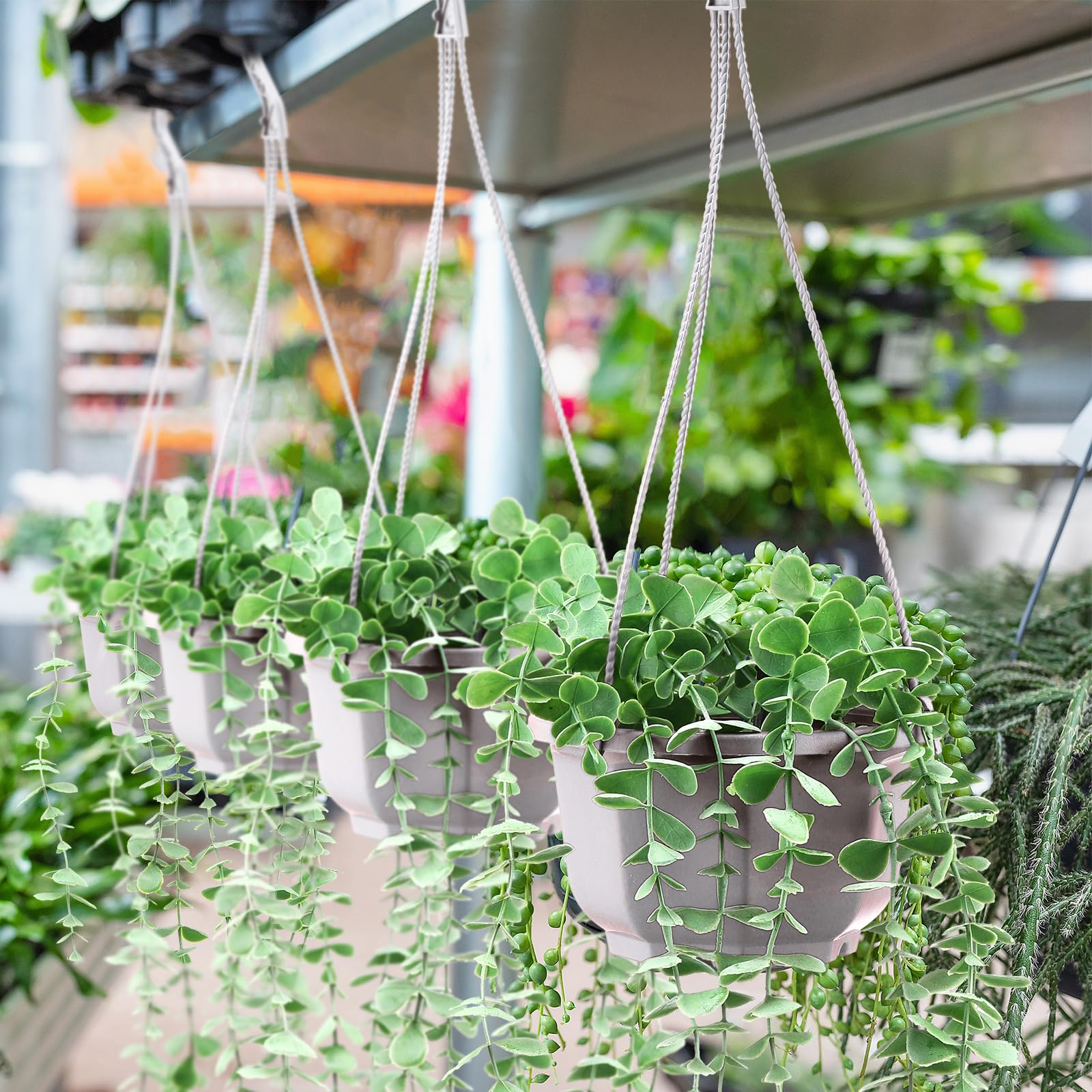 Roshtia versatile indoor/outdoor plant display solution