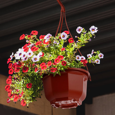 Roshtia 24-pack planters suited for small herbs and succulents