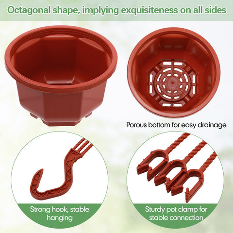 Roshtia octagonal basket design showcases plants from all angles