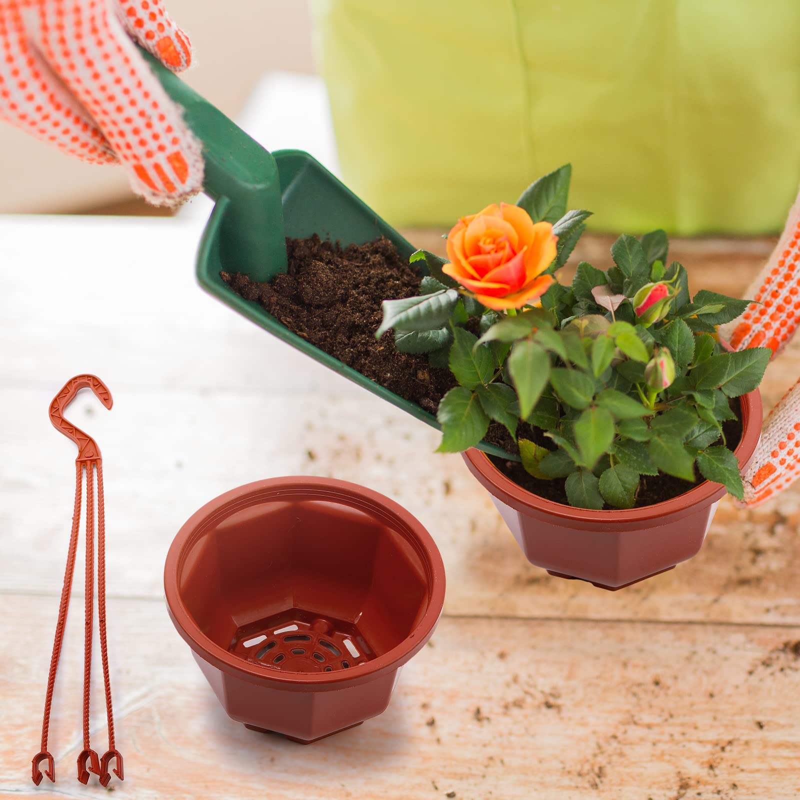 Roshtia planters with drainage holes promote healthy root moisture