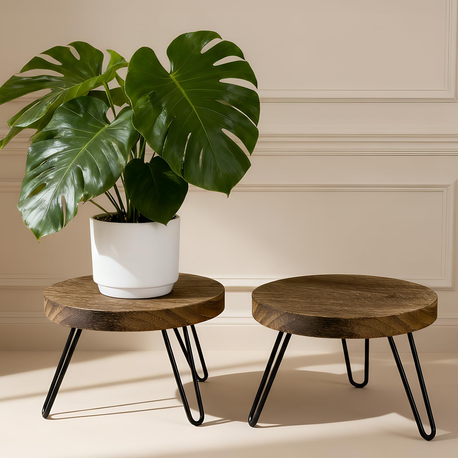 ROSSNY small indoor plant stand stool for compact space display.