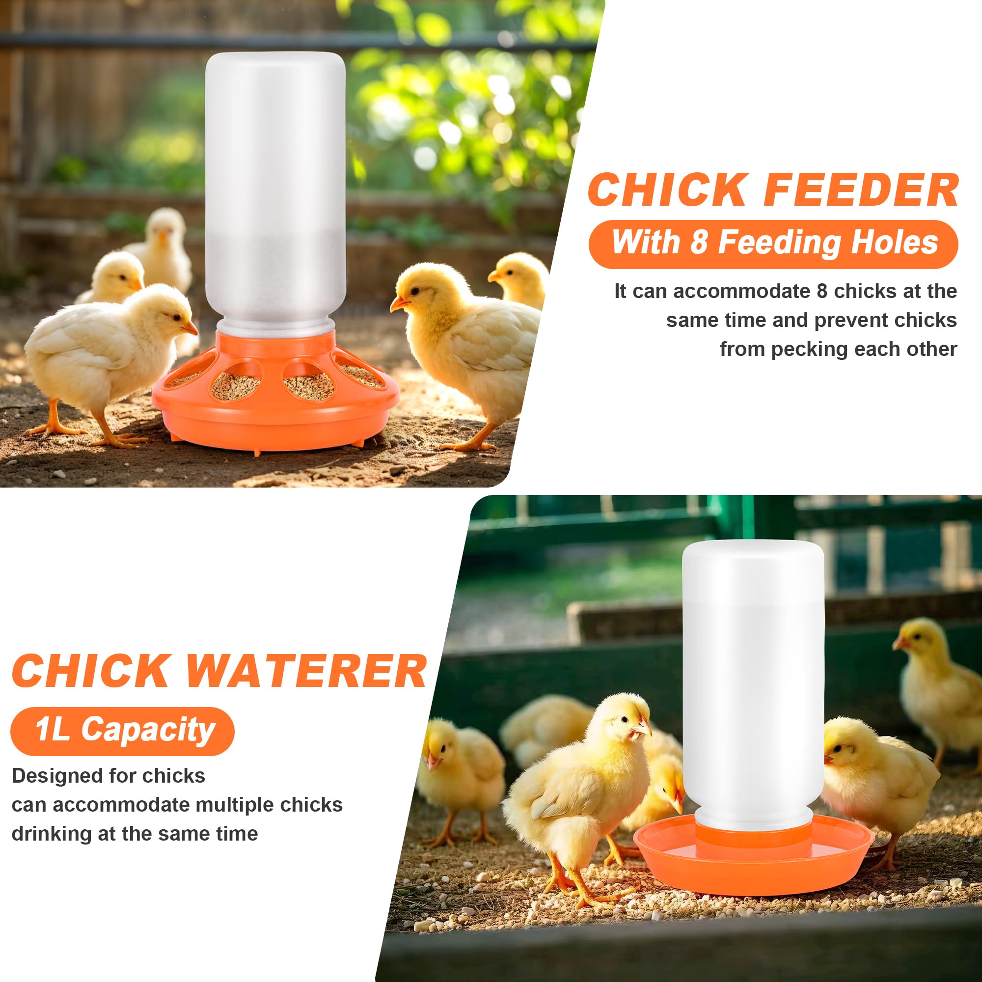 ROSTIUTE plastic chick starter kit components arranged for organized coop setup.
