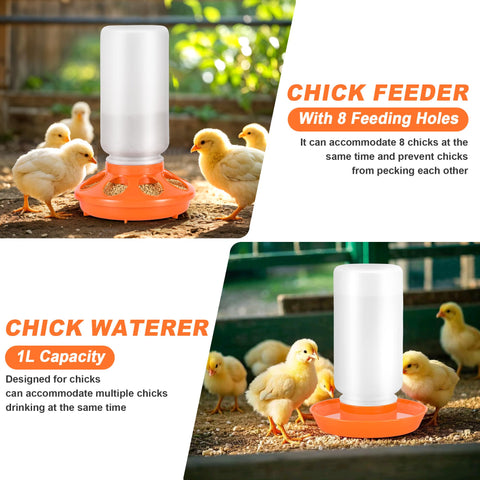 ROSTIUTE plastic chick starter kit components arranged for organized coop setup.