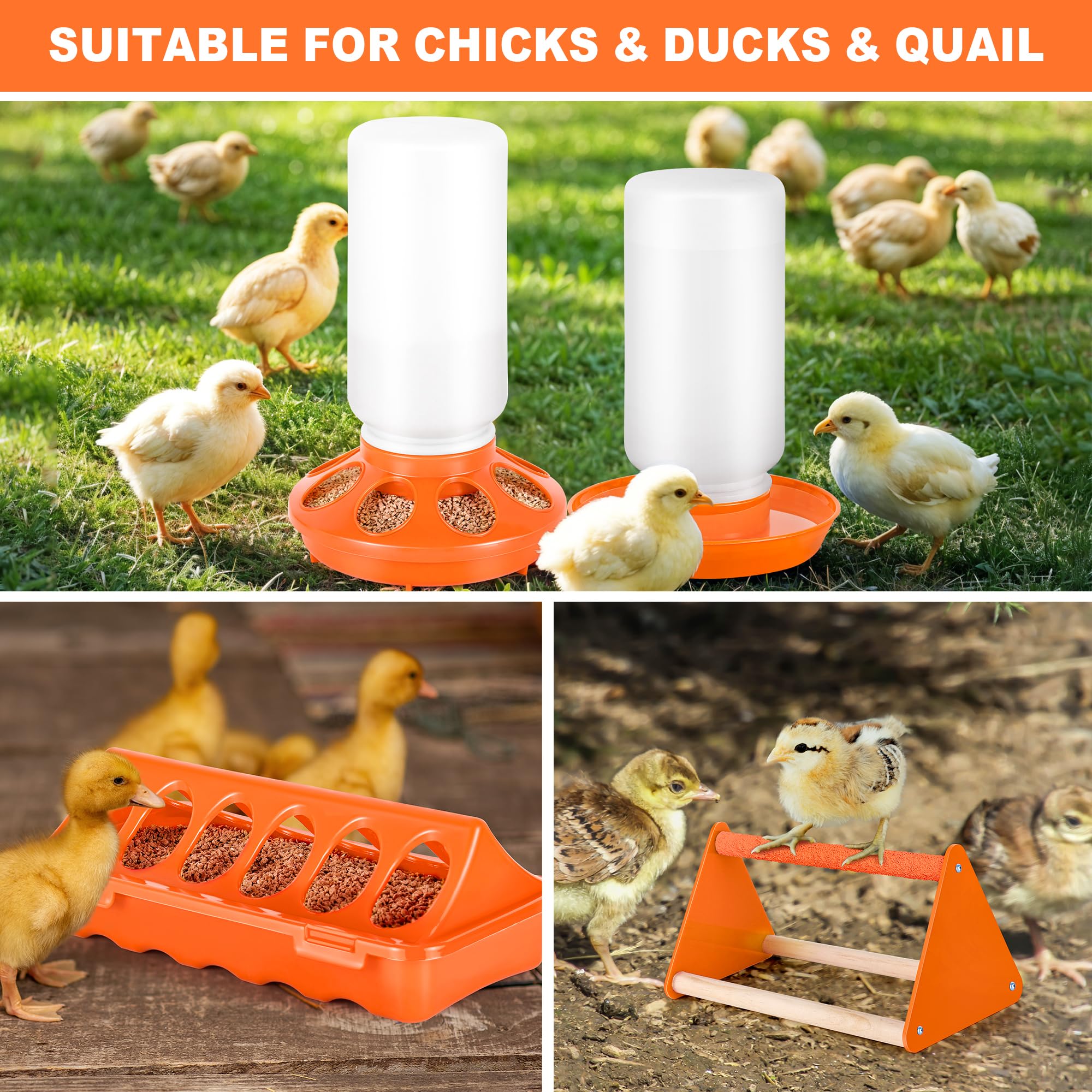ROSTIUTE starter kit with two troughs and one waterer for varied feeding needs.
