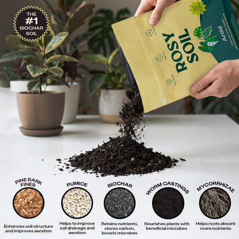 Rosy Soil Aroid mix features biochar for moisture retention and carbon storage.