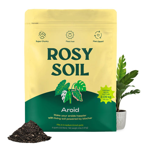 Rosy Soil Aroid potting mix close-up shows chunky texture for superior drainage.