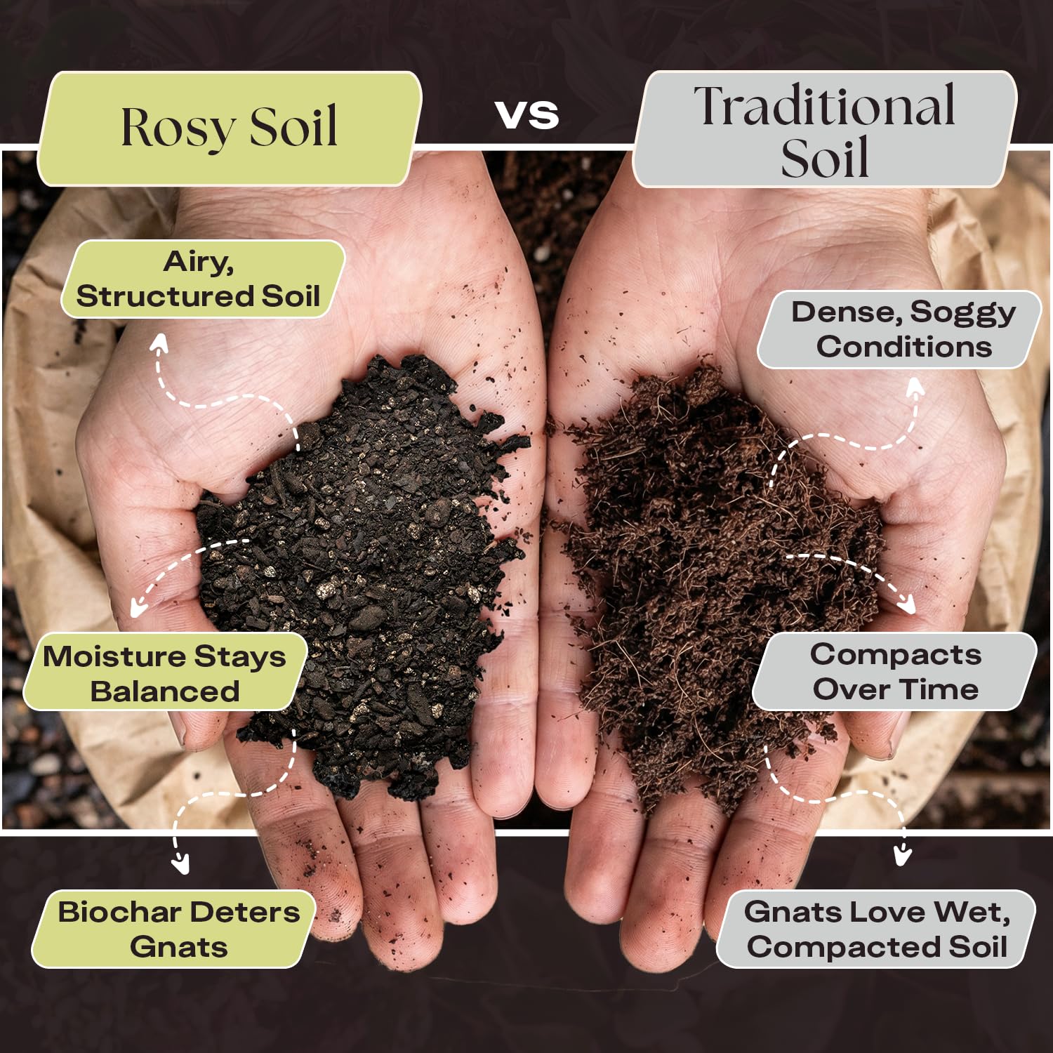 Rosy Soil Aroid mix highlights worm castings for natural nutrients and soil structure.