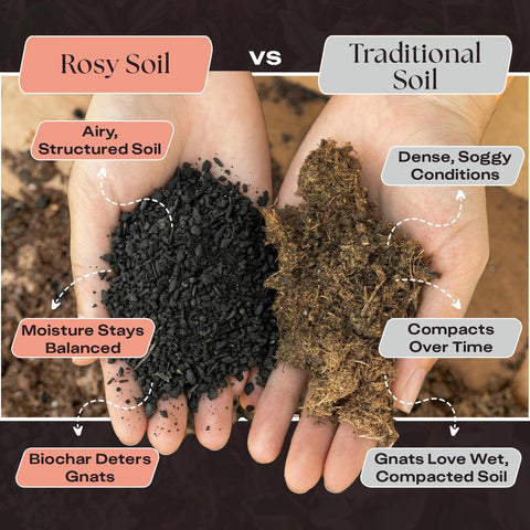 Rosy Soil beneficial-microbes support desert plant growth and thriving terrariums.