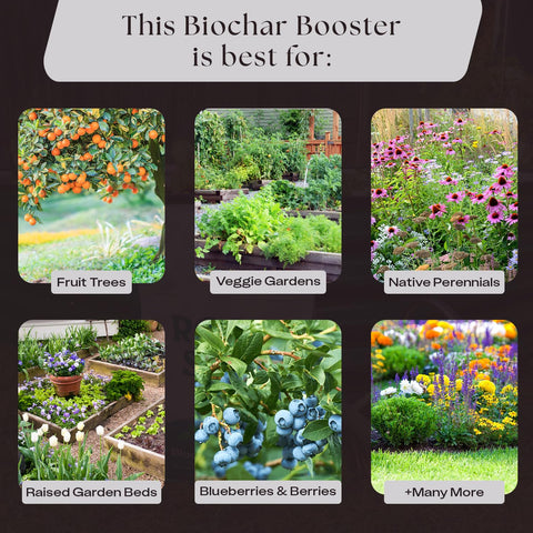 Rosy Soil Biochar Booster co2-sequestration image underscores carbon-friendly gardening.