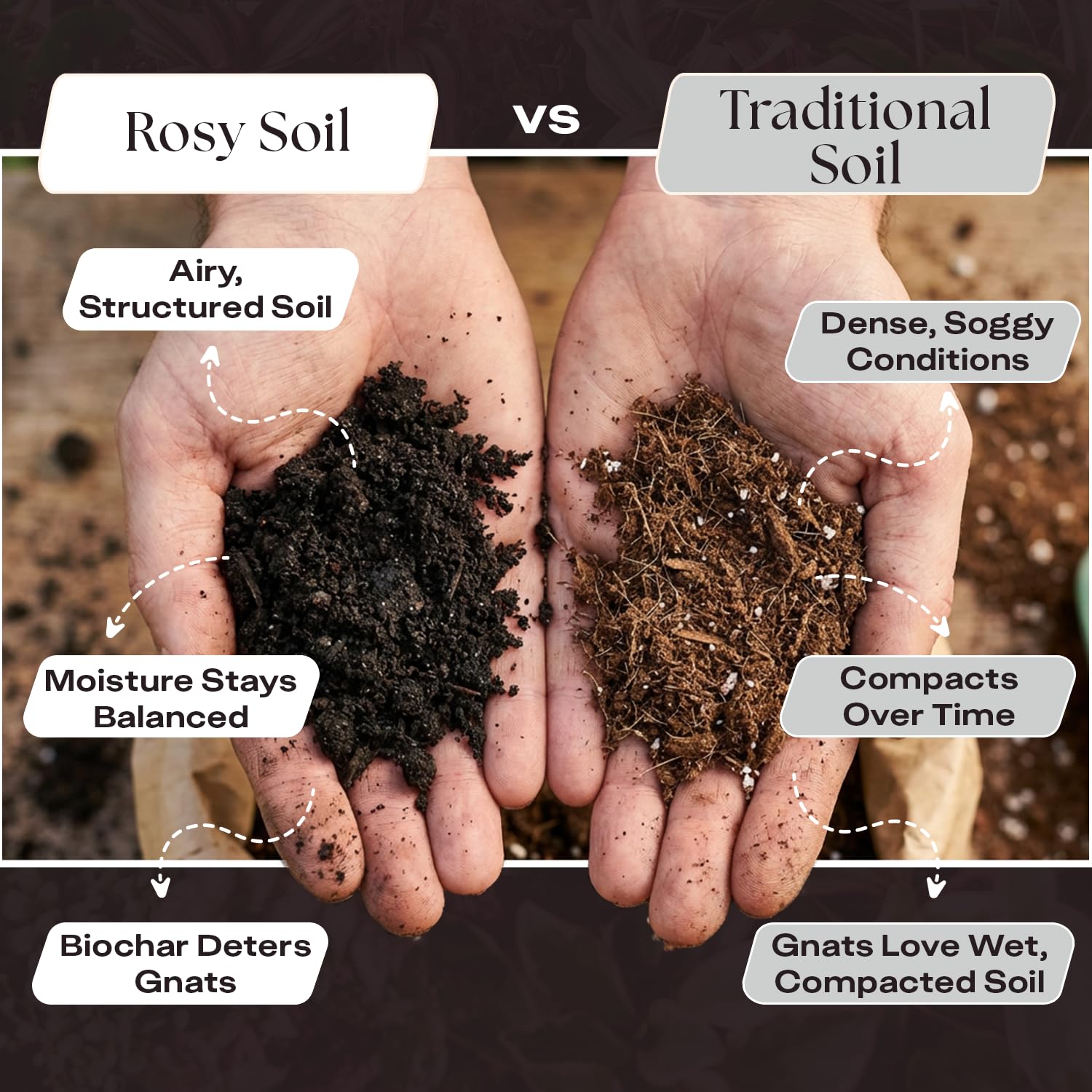 Rosy Soil Biochar Booster root-growth image highlights strong roots supported by microbes.