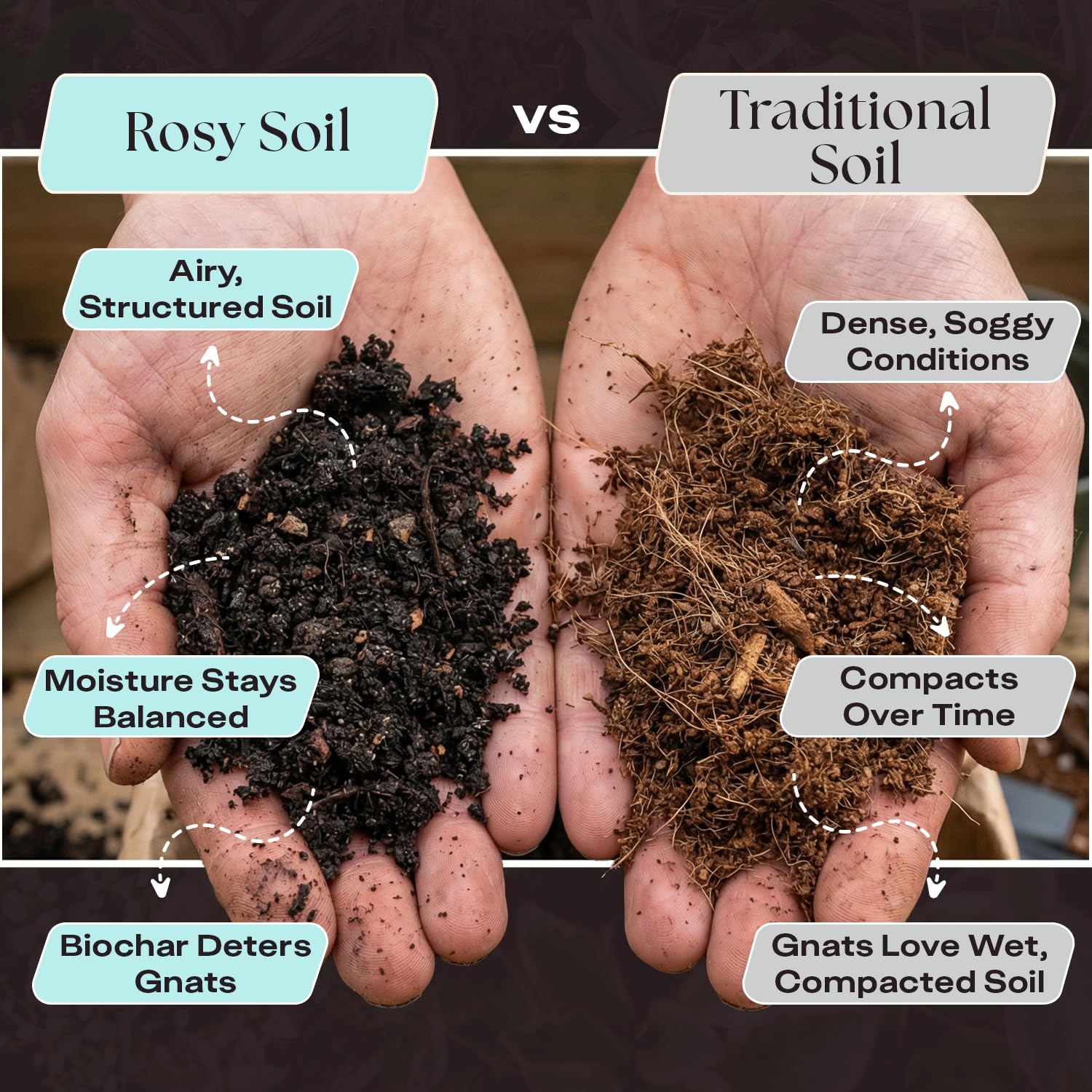 Rosy Soil biochar particles detail improves drainage and roots