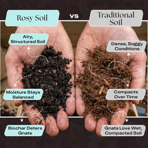Rosy Soil biochar particles detail improves drainage and roots