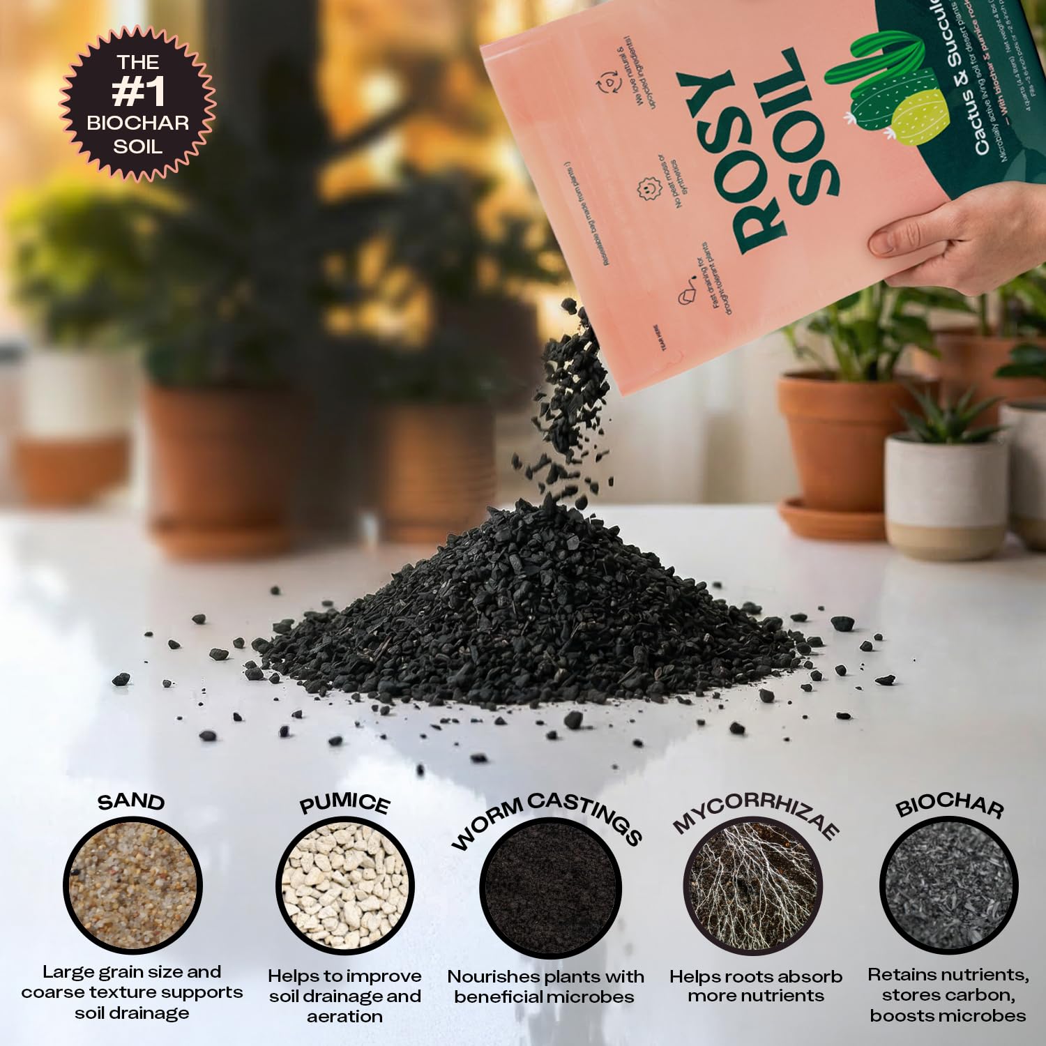 Rosy Soil microbial-rich blend enriches growing environments for desert plants.