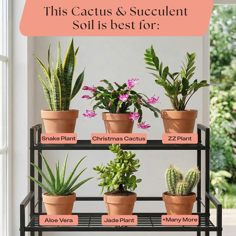 Rosy Soil reduces gnats risk for cleaner indoor planters.