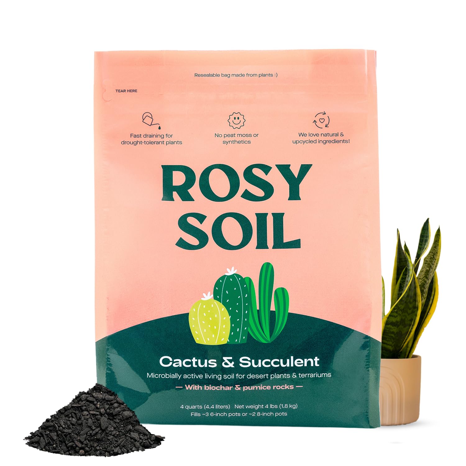 Rosy Soil cactus and succulent potting soil with loose drainage supports thriving indoor plants.