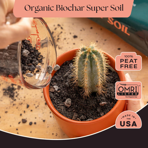 Rosy Soil root-boost mix fosters healthy root development for cacti and succulents.