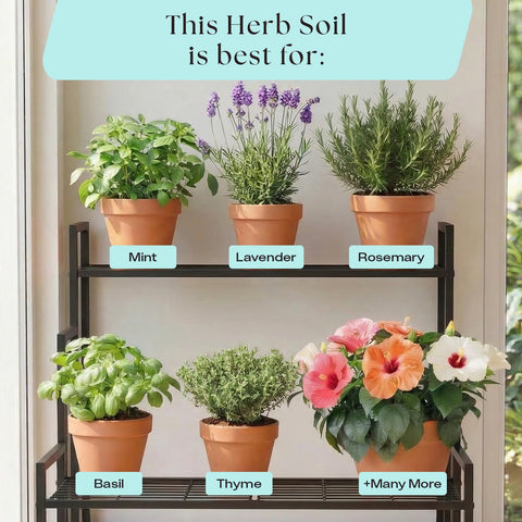 Container setup ready for planting with Rosy Soil Herb Mix