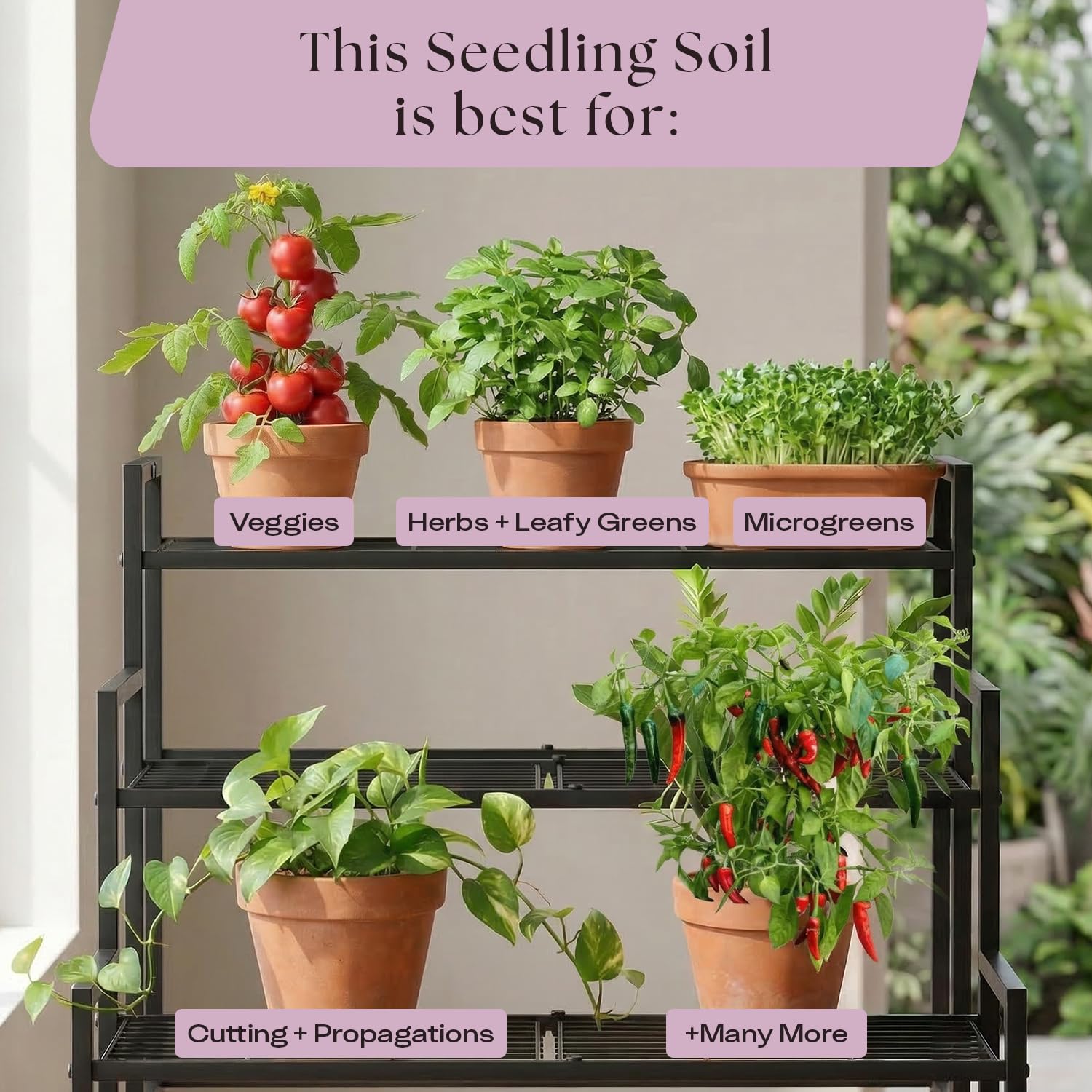 Rosy Soil 4lb bag eco-packaging highlights sustainability.