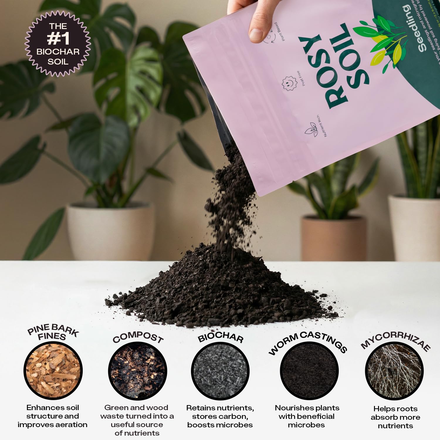 Rosy Soil mycorrhizae-root growth shot highlights improved nutrient uptake and root vigor.