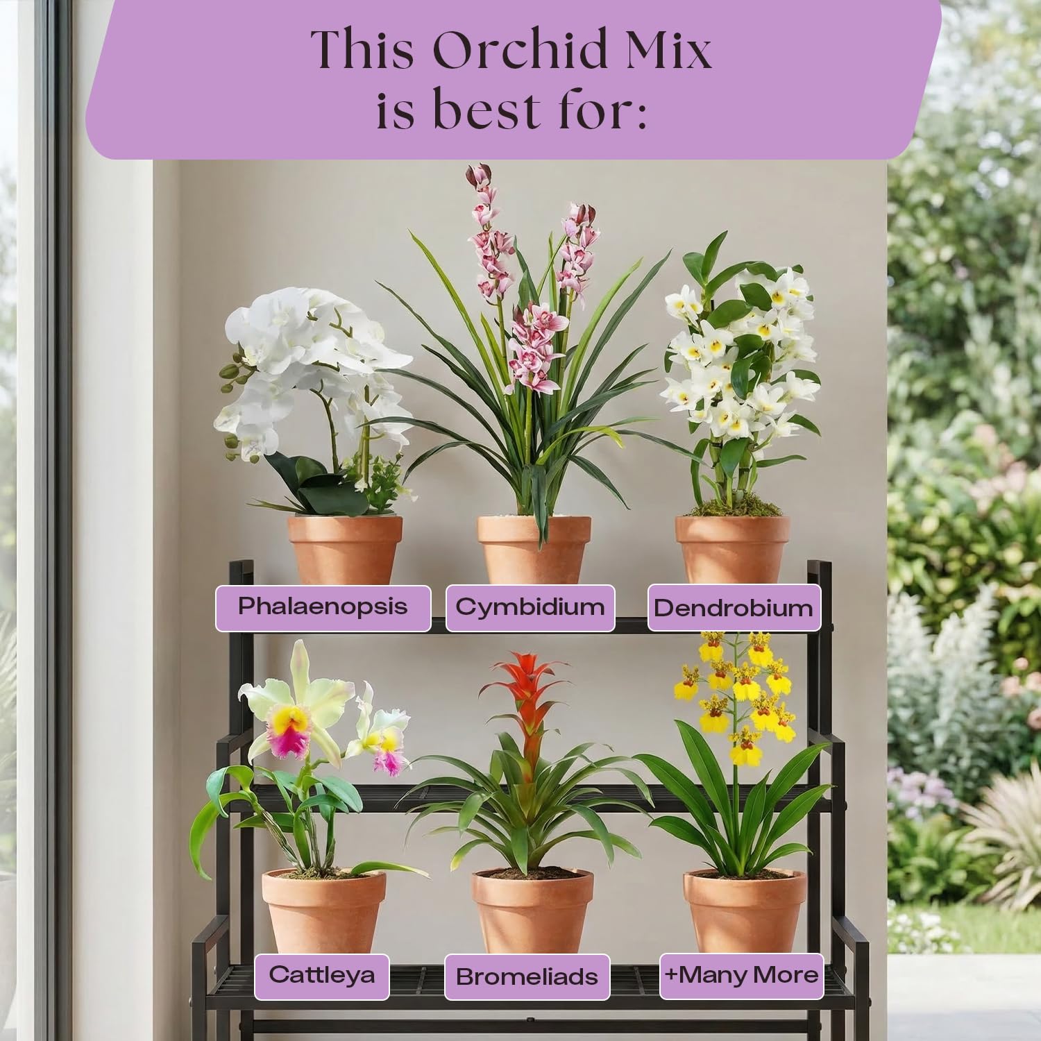 Rosy Soil Orchid Potting Mix comes in a resealable 4-quart bag