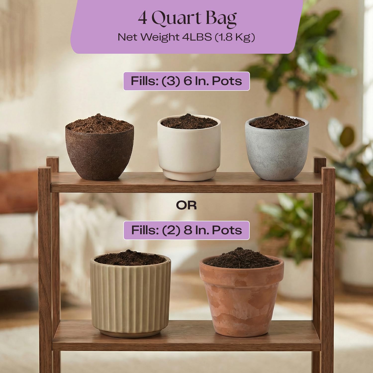 Rosy Soil Orchid Potting Mix fosters strong roots for resilient orchids